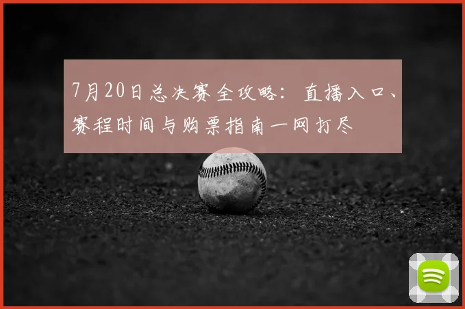 7月20日总决赛全攻略：直播入口、赛程时间与购票指南一网打尽
