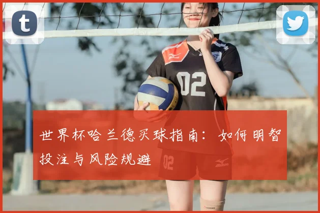世界杯哈兰德买球指南：如何明智投注与风险规避