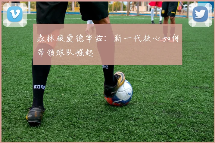 森林狼爱德华兹:新一代核心如何带领球队崛起