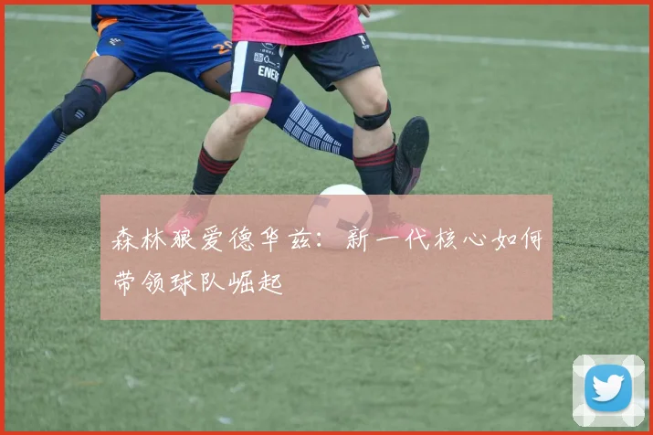森林狼爱德华兹：新一代核心如何带领球队崛起